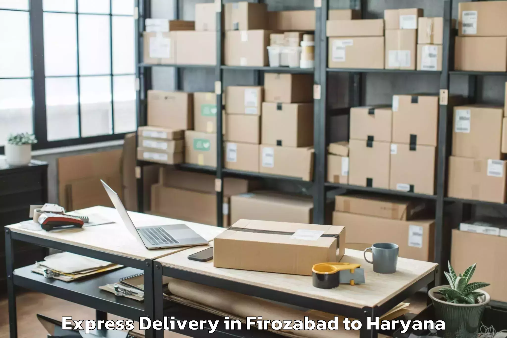 Professional Firozabad to Haryana Express Delivery